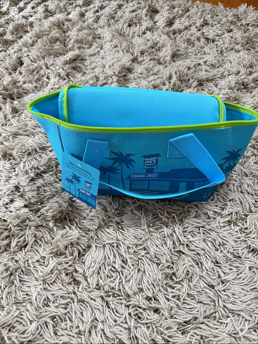 Trader Joe's Blue Mini Insulated Tote with Lime Trim